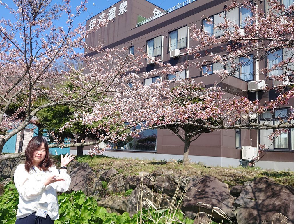 202505FMびゅー桜